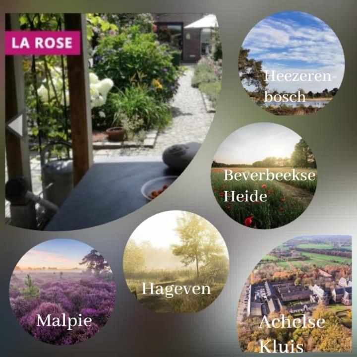La Rose Bed and Breakfast NeerNeerpelt Eksteriør billede
