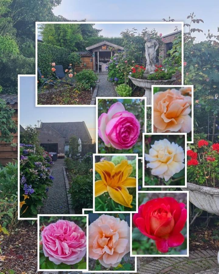 La Rose Bed and Breakfast NeerNeerpelt Eksteriør billede