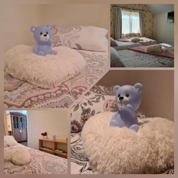 La Rose Bed and Breakfast NeerNeerpelt Eksteriør billede