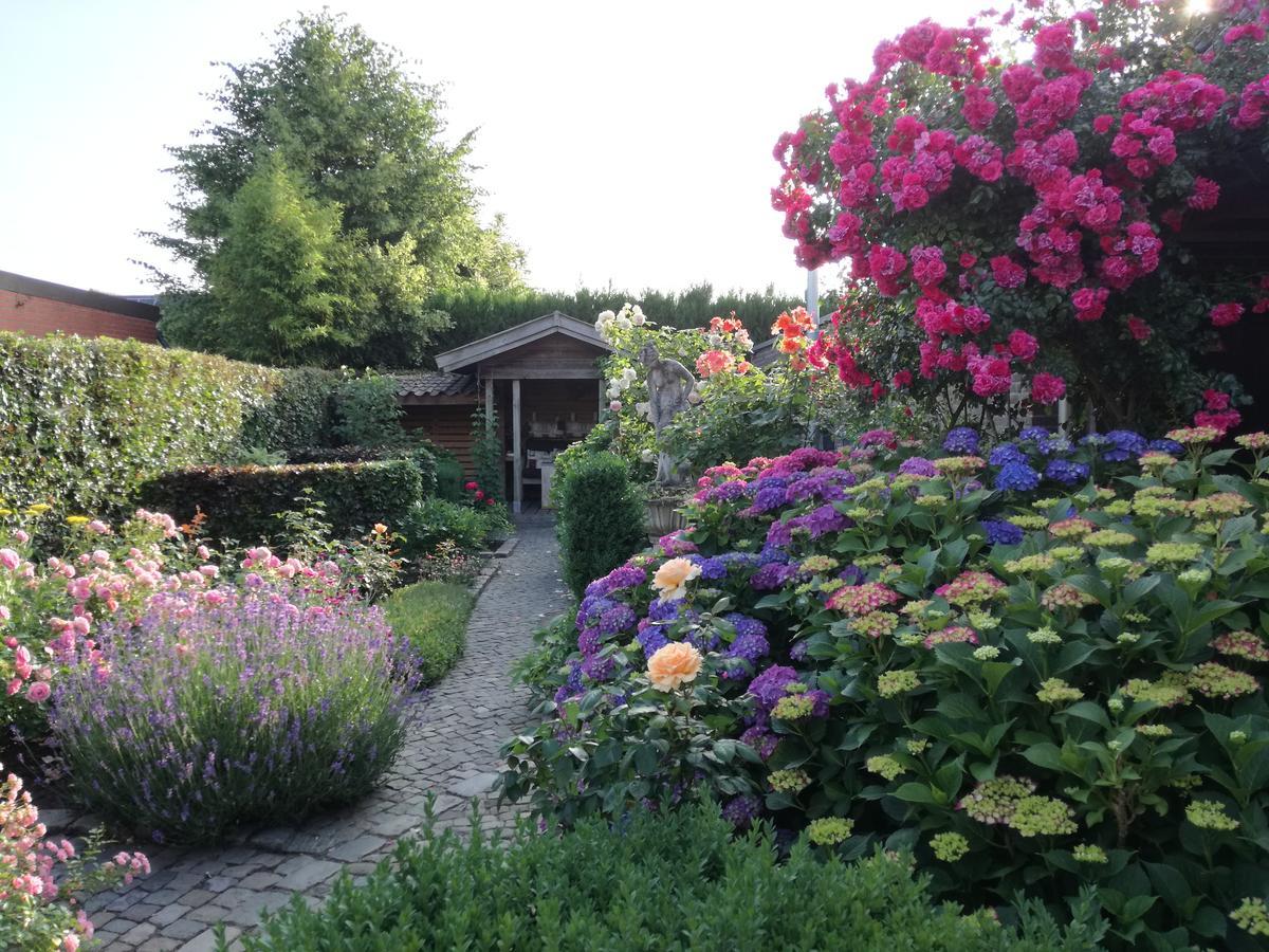 La Rose Bed and Breakfast NeerNeerpelt Eksteriør billede